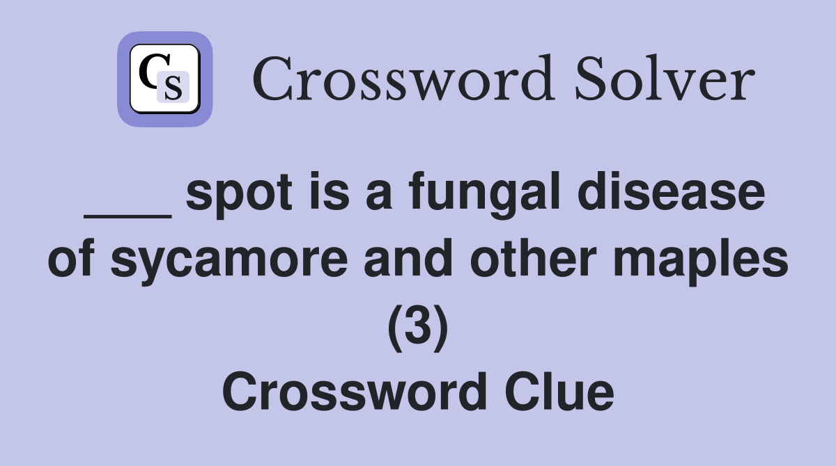 ___ spot is a fungal disease of sycamore and other maples (3) Crossword Clue