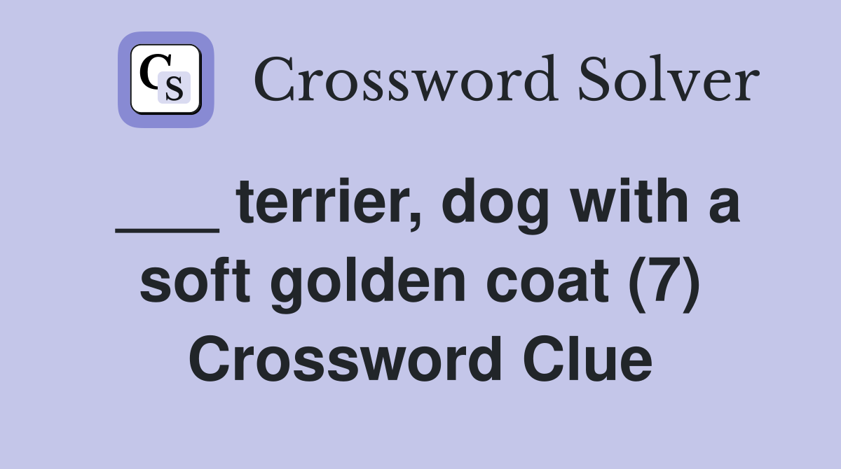 ___ terrier, dog with a soft golden coat (7) Crossword Clue