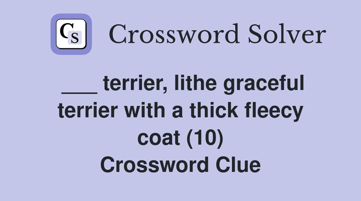 ___ terrier, lithe graceful terrier with a thick fleecy coat (10) Crossword Clue