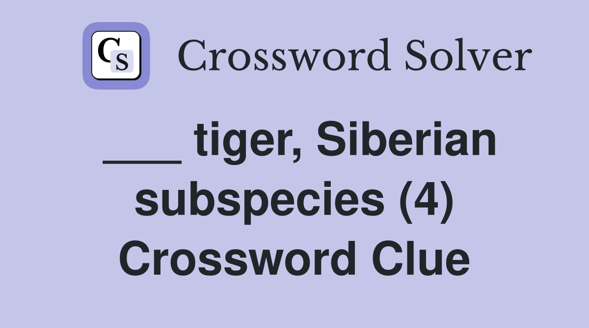 ___ tiger, Siberian subspecies (4) Crossword Clue