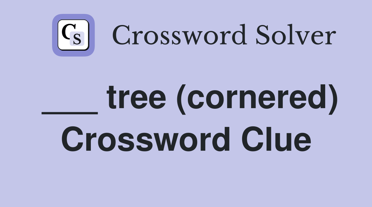 ___ tree (cornered) Crossword Clue