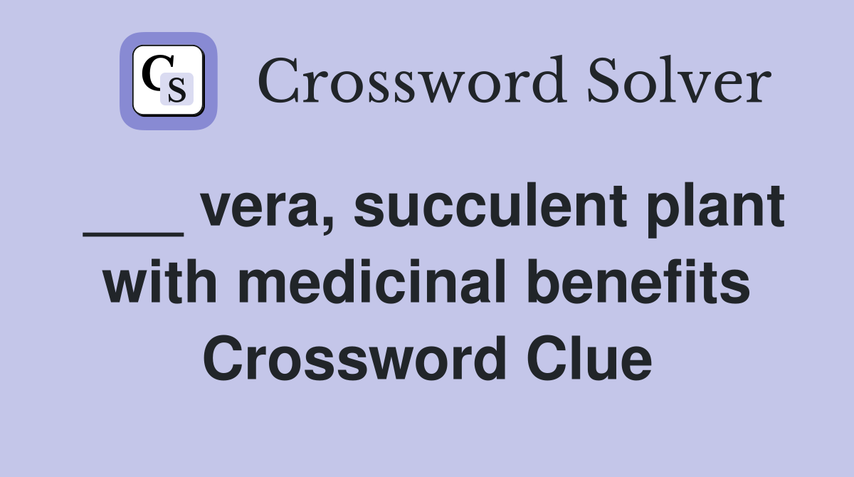 ___ vera, succulent plant with medicinal benefits Crossword Clue