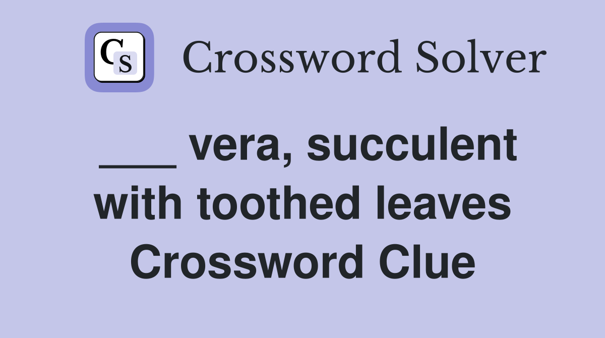 ___ vera, succulent with toothed leaves Crossword Clue