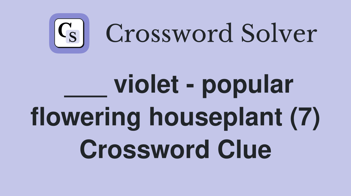 ___ violet - popular flowering houseplant (7) Crossword Clue