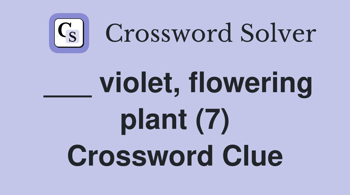 ___ violet, flowering plant (7) Crossword Clue