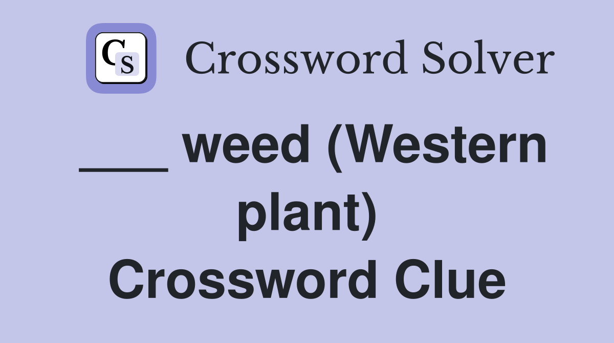 ___ weed (Western plant) Crossword Clue