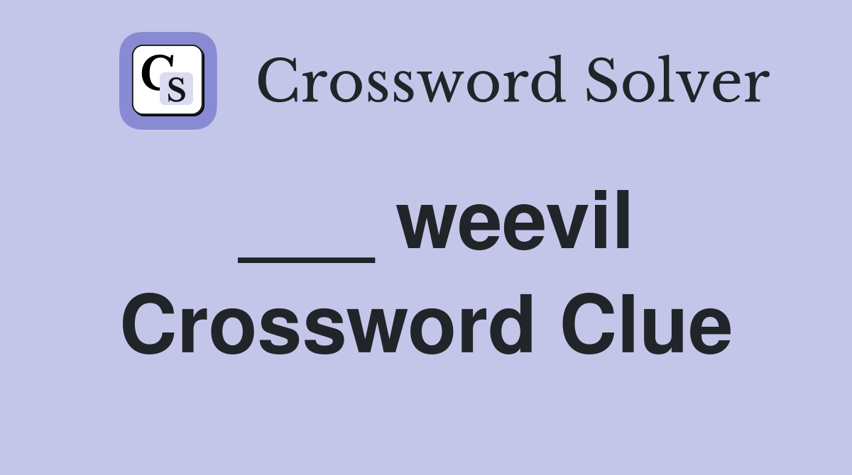 ___ weevil Crossword Clue