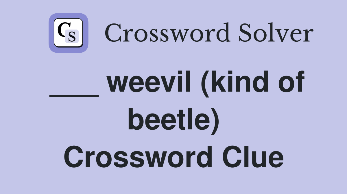 ___ weevil (kind of beetle) Crossword Clue