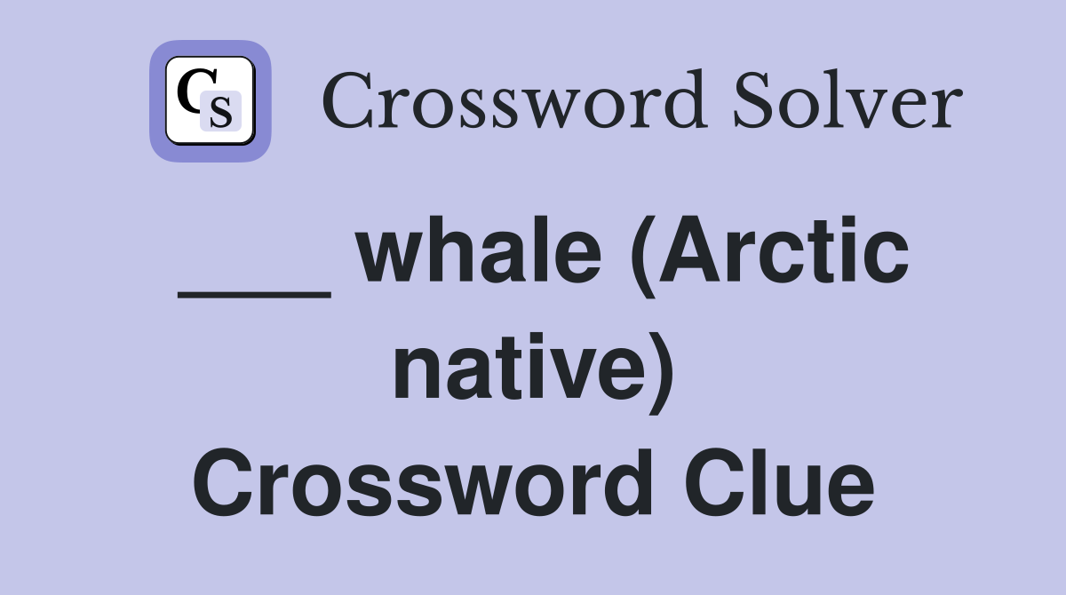 ___ whale (Arctic native) Crossword Clue