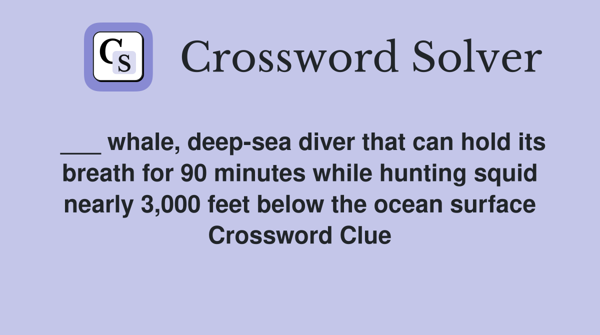 ___ whale, deep-sea diver that can hold its breath for 90 minutes while hunting squid nearly 3,000 feet below the ocean surface Crossword Clue