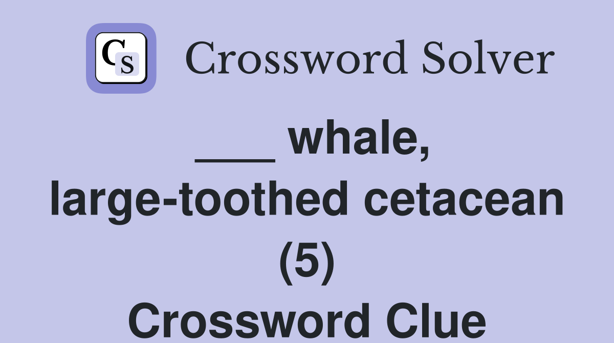 ___ whale, large-toothed cetacean (5) Crossword Clue