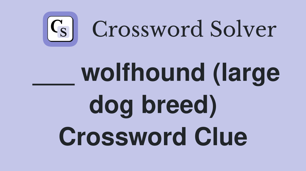 ___ wolfhound (large dog breed) Crossword Clue