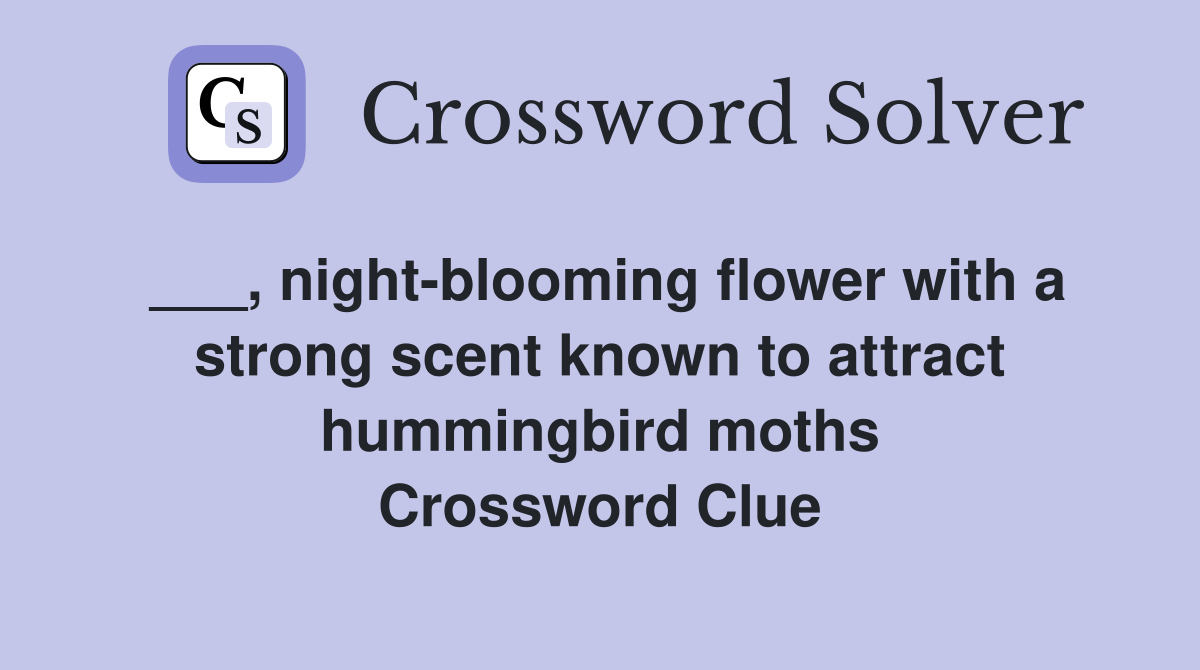 ___, night-blooming flower with a strong scent known to attract hummingbird moths Crossword Clue