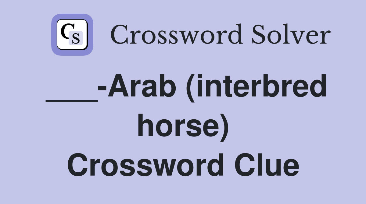 ___-Arab (interbred horse) Crossword Clue