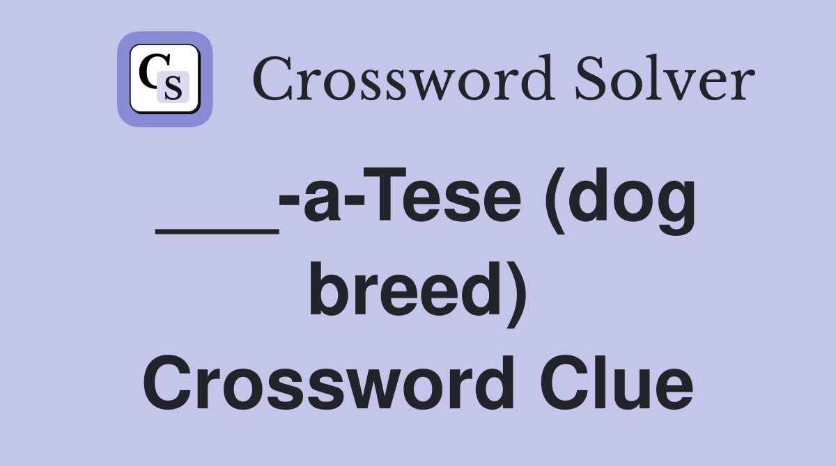 ___-a-Tese (dog breed) Crossword Clue