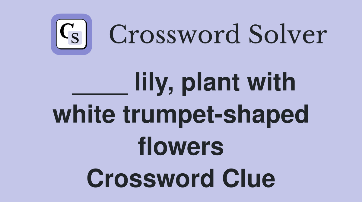 ____ lily, plant with white trumpet-shaped flowers Crossword Clue