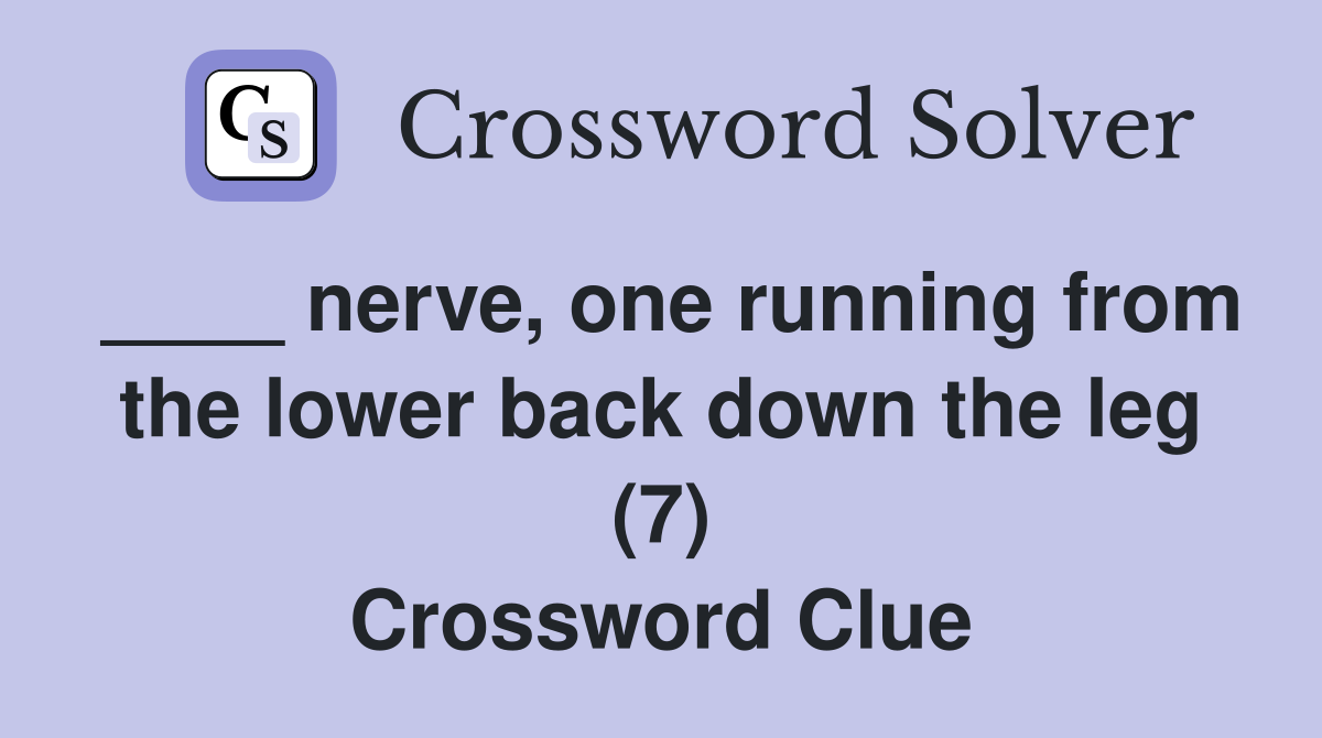 ____ nerve, one running from the lower back down the leg (7) Crossword Clue
