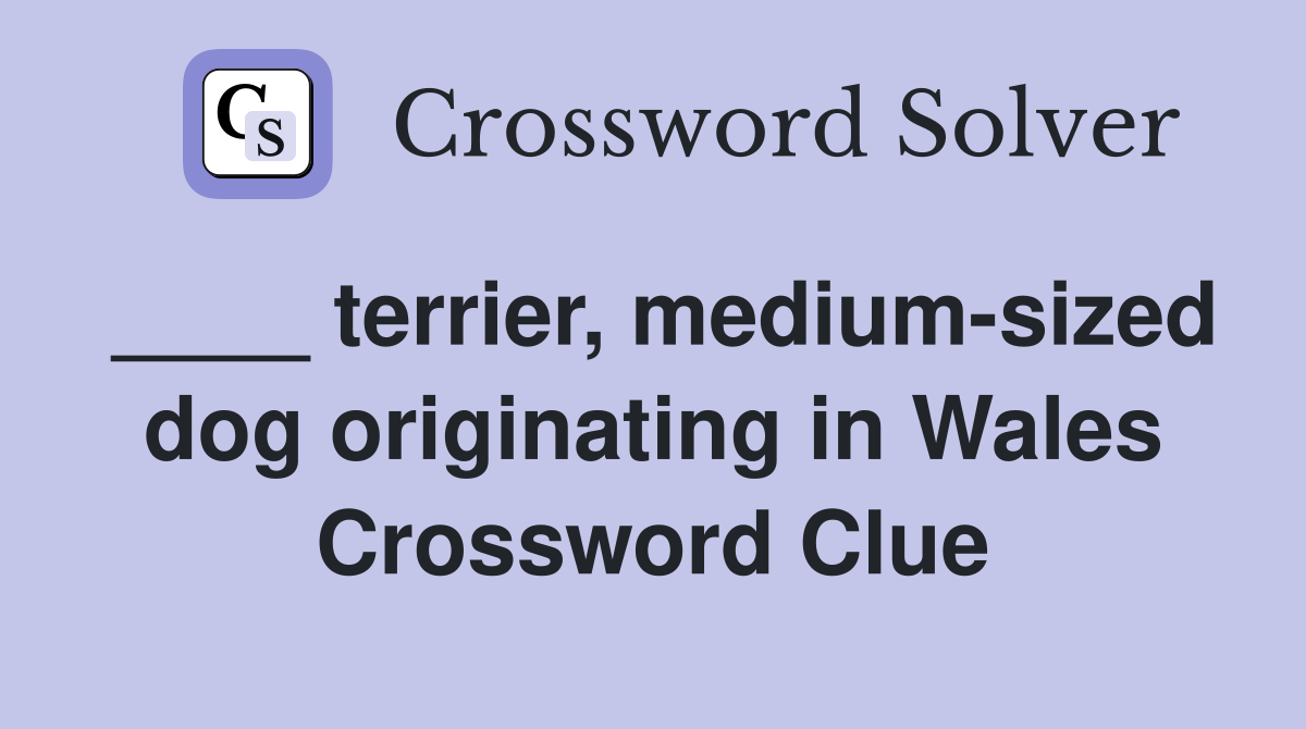 ____ terrier, medium-sized dog originating in Wales Crossword Clue