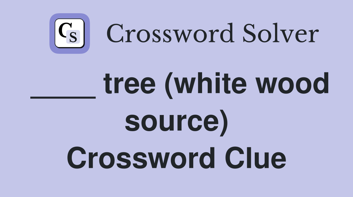 ____ tree (white wood source) Crossword Clue