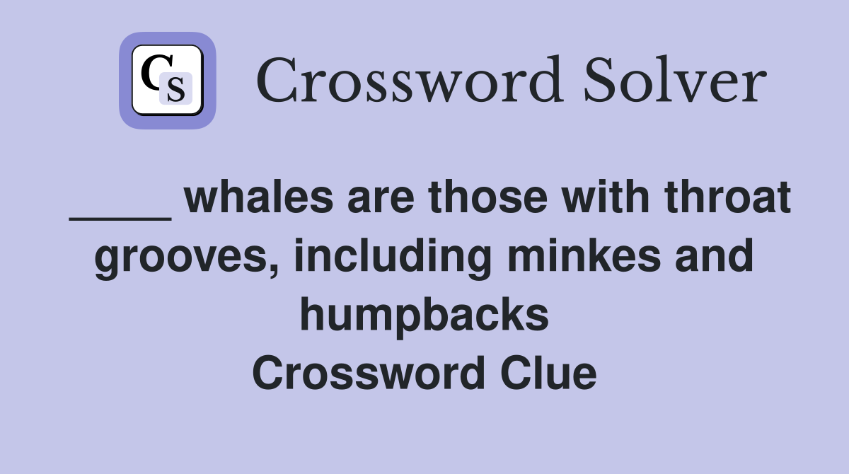 ____ whales are those with throat grooves, including minkes and humpbacks Crossword Clue