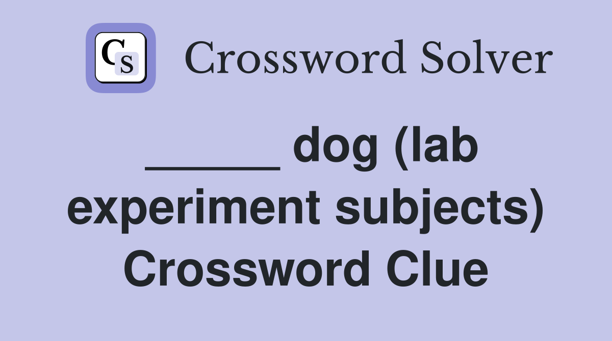 _____ dog (lab experiment subjects) Crossword Clue