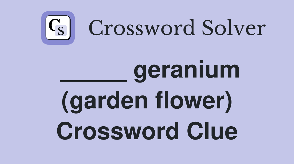 _____ geranium (garden flower) Crossword Clue