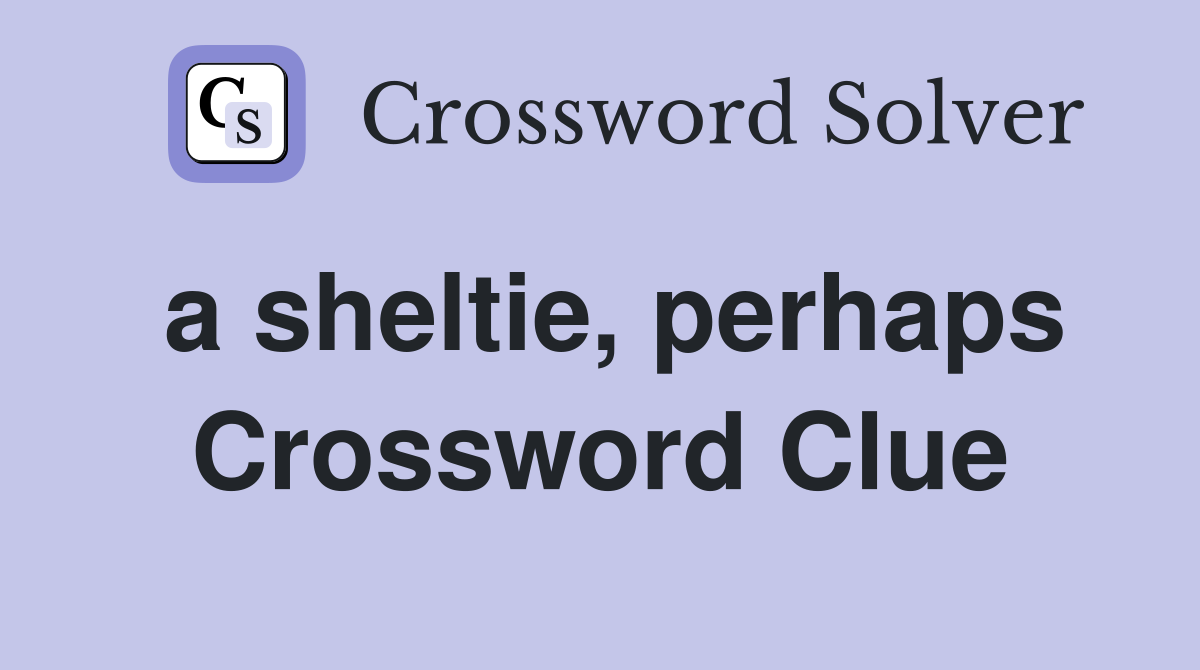 a sheltie, perhaps Crossword Clue