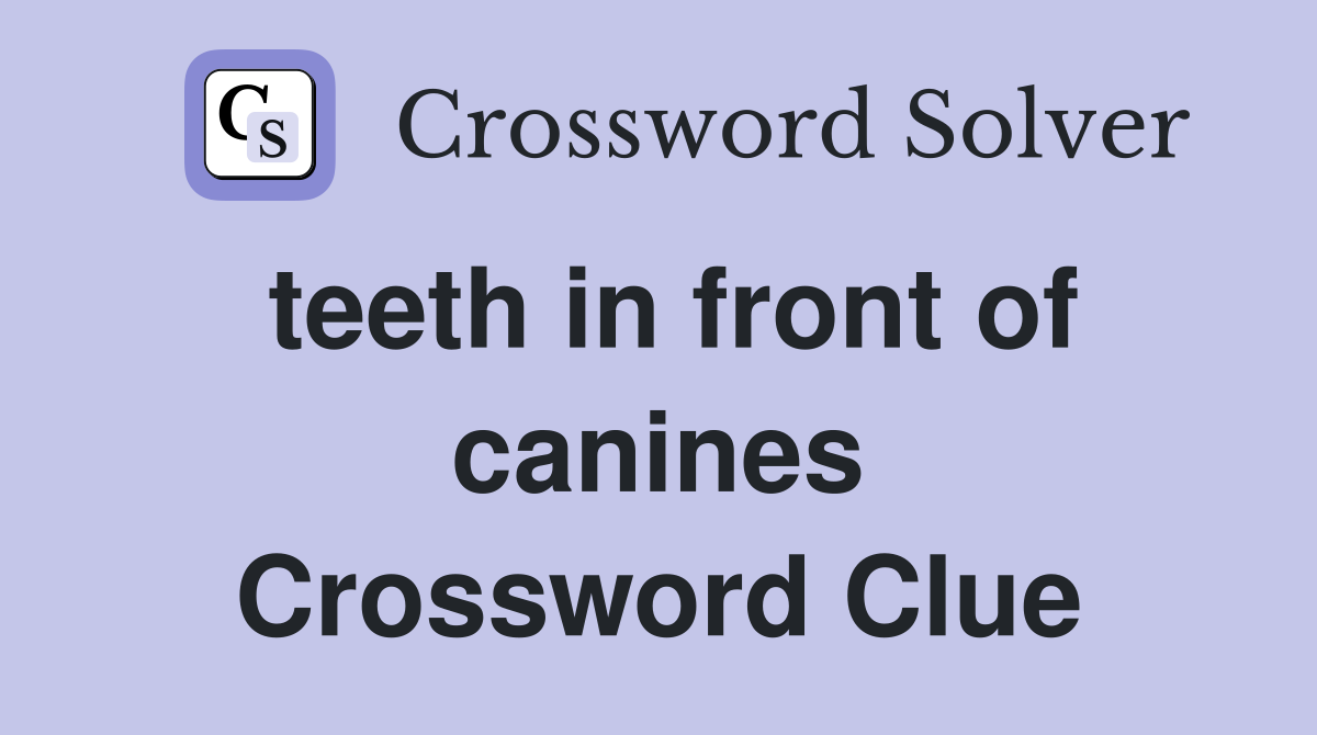 teeth in front of canines Crossword Clue