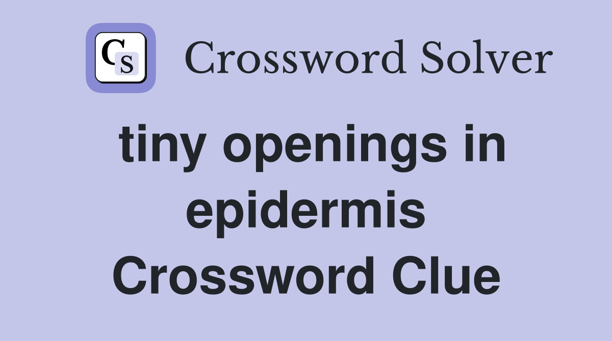 tiny openings in epidermis Crossword Clue